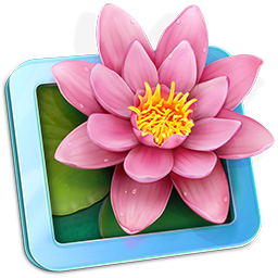 LilyView