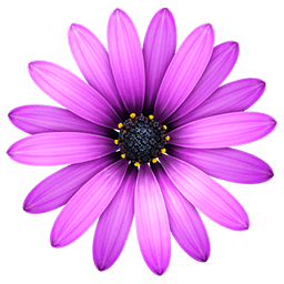 TextMate